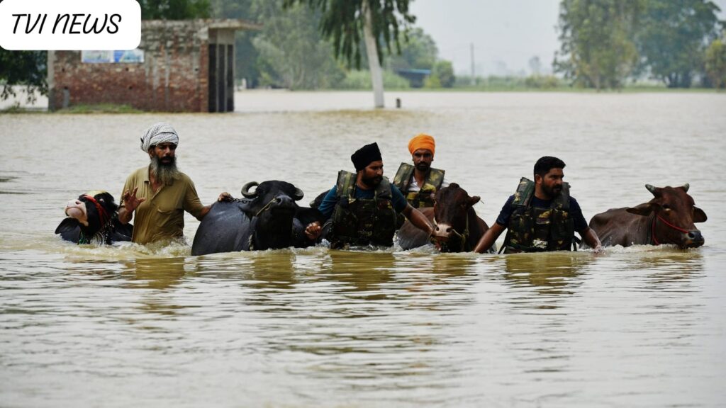 Punjab Flood Disaster