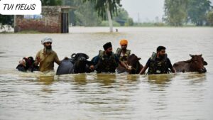Flood in Punjab